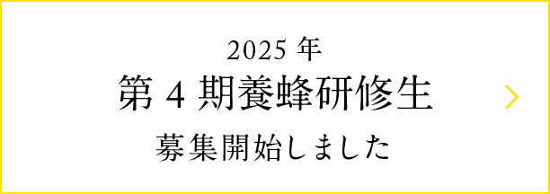 2025年 第4期養蜂研修生 募集開始しました