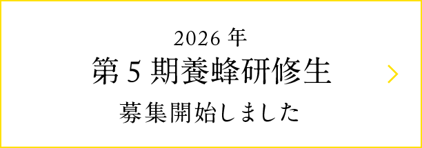 2026年 第5期養蜂研修生 募集開始しました