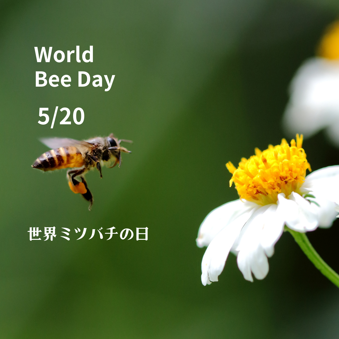 World Bee Day 5/20は世界ミツバチの日 | NPO法人 梅田ミツバチ